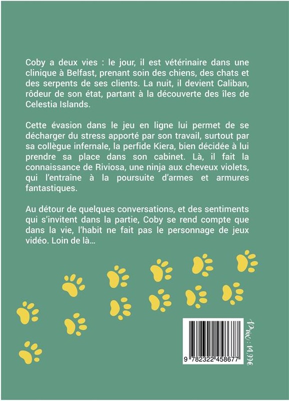 Quatrième de couverture de « CIEL DE RPG »