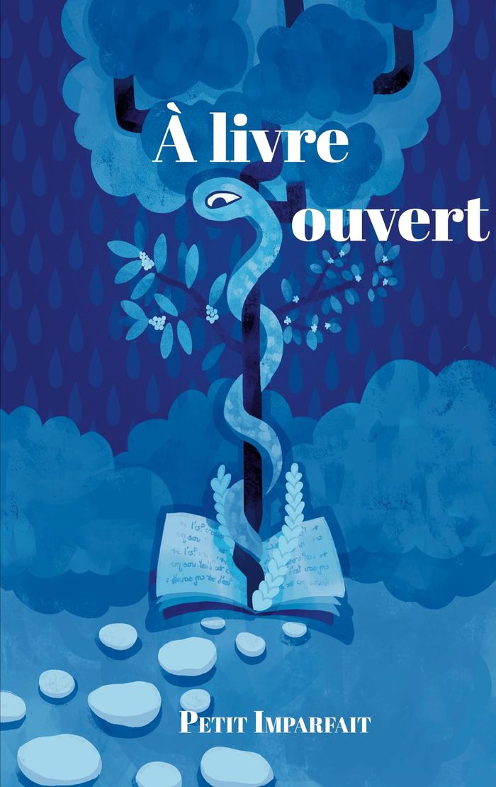 Couverture du livre « A LIVRE OUVERT - ILLUSTRATIONS, COULEUR » de Petit Imparfait, librairie Les Contes Infusés à Corte