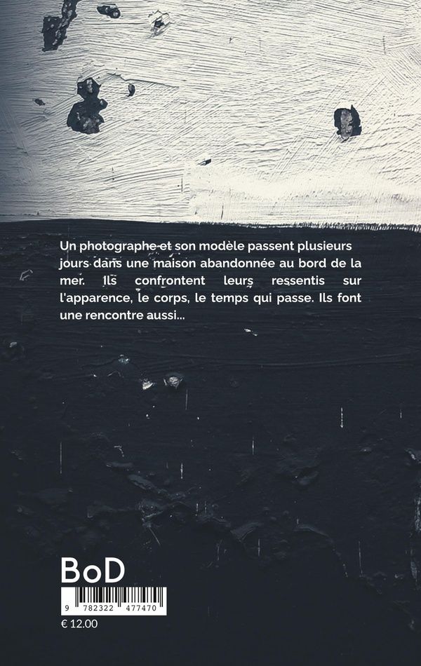 Quatrième de couverture de « VILLA DAVID »