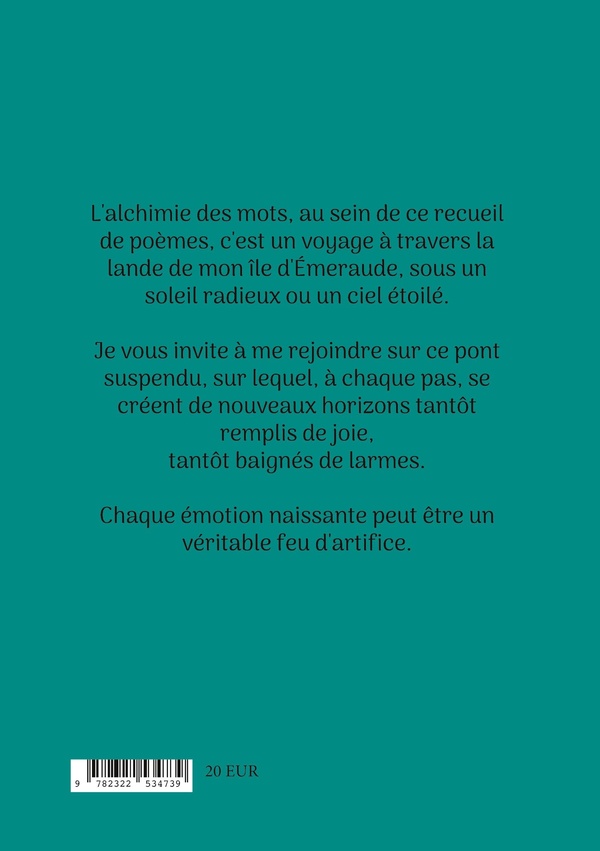 Quatrième de couverture de « VERTIGEE »
