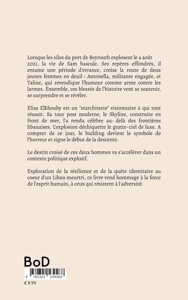 Quatrième de couverture de « SKYLINE »