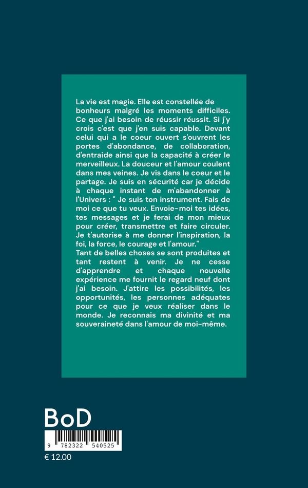 Quatrième de couverture de « LES PETITES ROULETTES DE LILI »