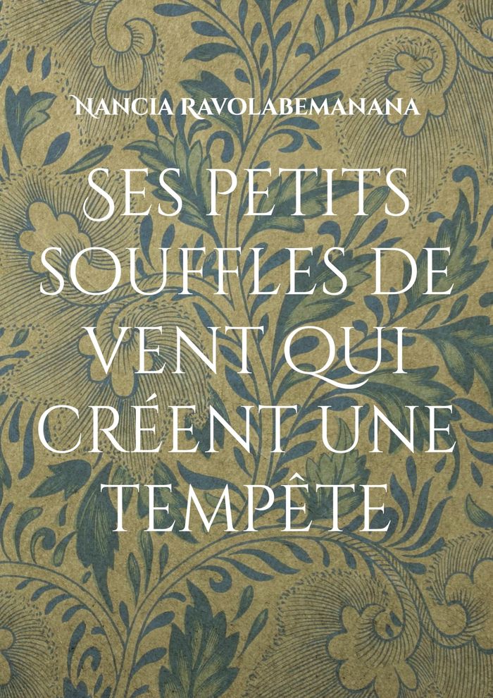 Couverture du livre « SES PETITS SOUFFLES DE VENT QUI CREENT UNE TEMPETE » de N. Ravolabemanana, librairie Les Contes Infusés à Corte