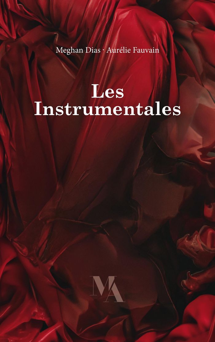 Couverture du livre « LES INSTRUMENTALES - ILLUSTRATIONS, COULEUR » de Dias/fauvain, librairie Les Contes Infusés à Corte