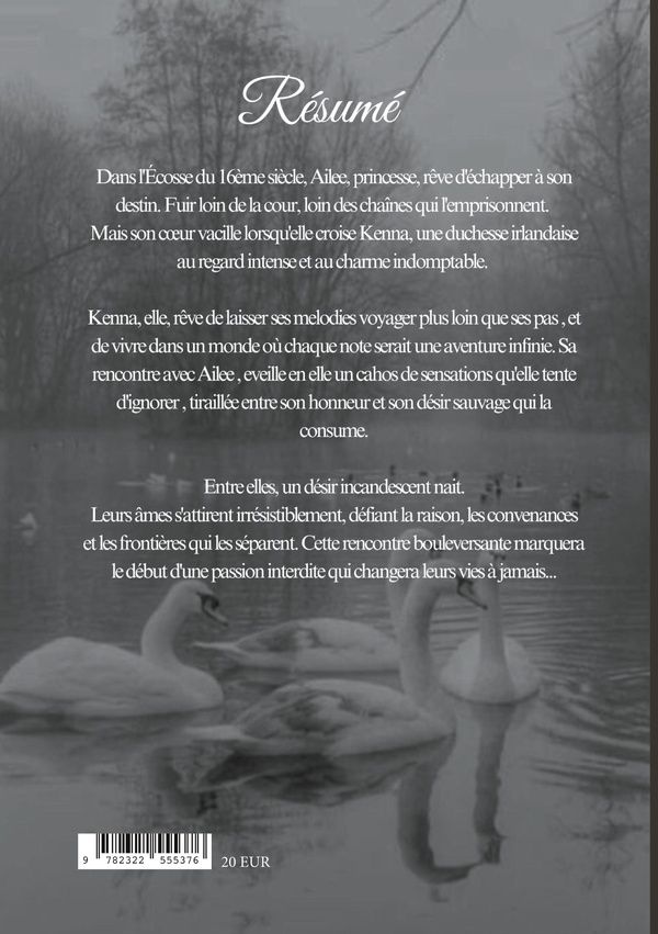 Quatrième de couverture de « LES OMBRES DU DESTIN »