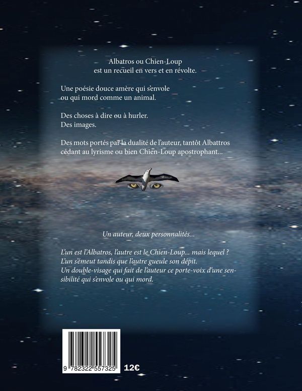 Quatrième de couverture de « ALBATROS OU CHIEN-LOUP »