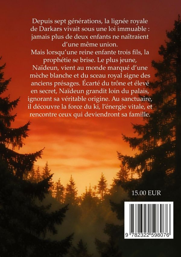 Quatrième de couverture de « IL ETAIT UNE FOIS NAIDEUN: FONDATION - TOME 1 »