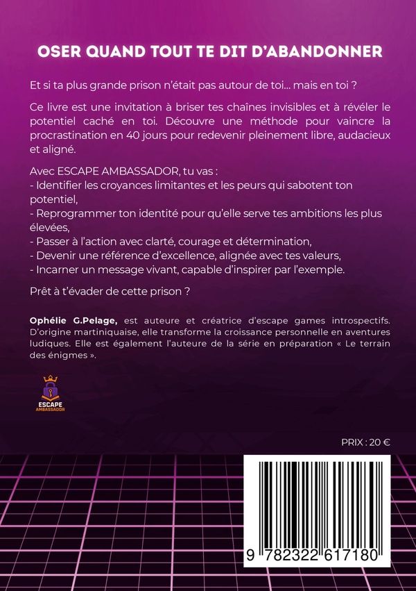 Quatrième de couverture de « OSER QUAND TOUT TE DIT D'ABANDONNER - UN VOYAGE ESCAPE GAME POUR UN ACCOMPAGNEMENT SOCIAL STRATEGIQU »