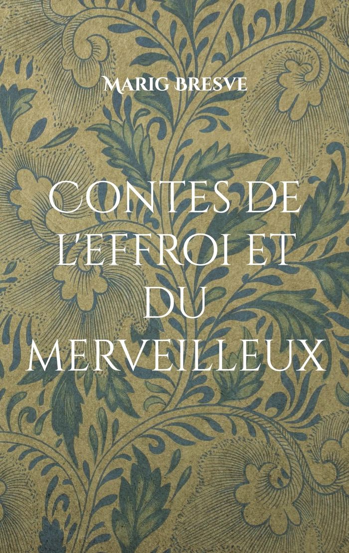 Couverture du livre « CONTES DE L'EFFROI ET DU MERVEILLEUX - RECUEIL DE TREIZE CONTES » de Marig Bresve, librairie Les Contes Infusés à Corte