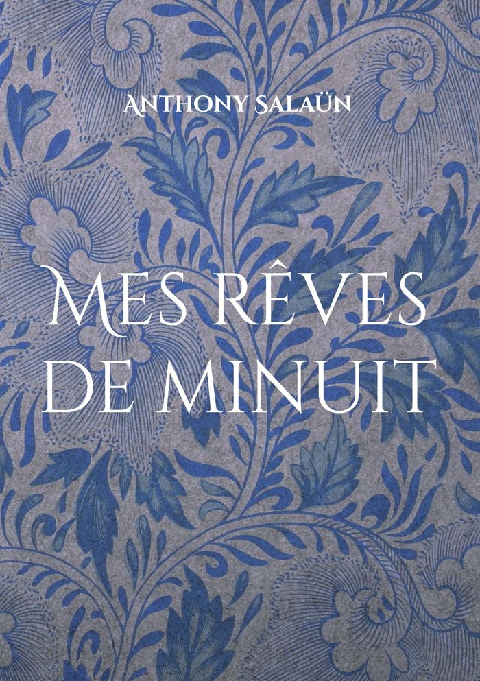 Couverture du livre « MES REVES DE MINUIT - DESSINS » de Anthony Salaun, librairie Les Contes Infusés à Corte