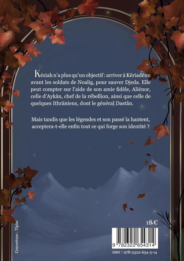 Quatrième de couverture de « L'héritière des Saëls »