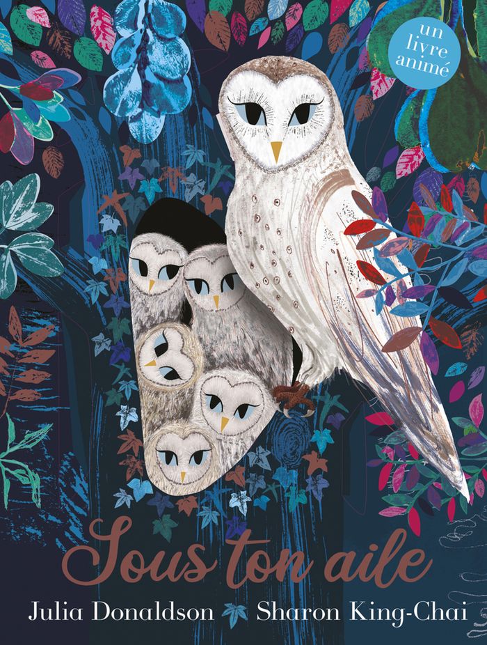 Couverture du livre « Sous ton aile » de Julia Donaldson, librairie Les Contes Infusés à Corte