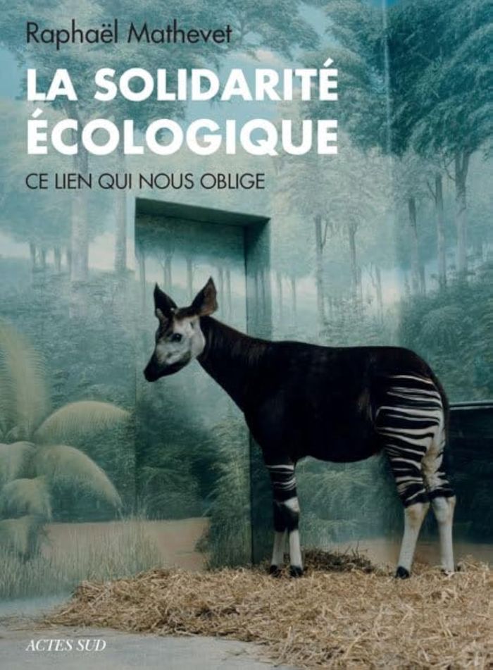 Couverture du livre « LA SOLIDARITE ECOLOGIQUE - CE LIEN QUI NOUS OBLIGE » de Raphael Mathevet, librairie Les Contes Infusés à Corte