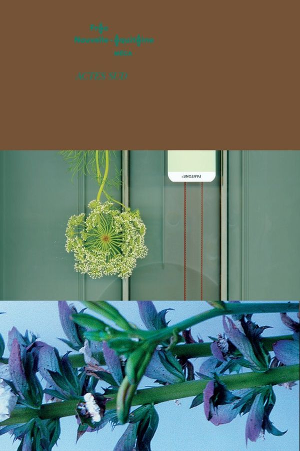 Quatrième de couverture de « NARCISSE OU LA FLORAISON DES MONDES - LES FLEURS DANS L'ART CONTEMPORAIN - ILLUSTRATIONS, COULEUR »