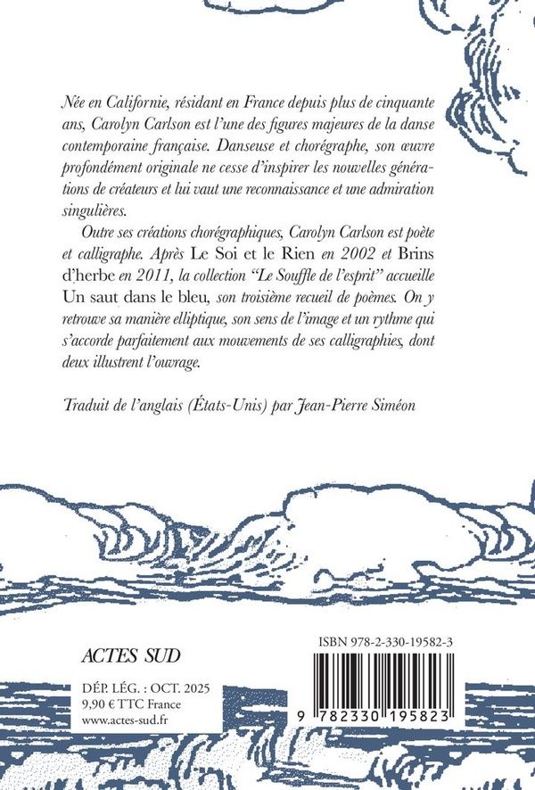 Quatrième de couverture de « Un saut dans le bleu »