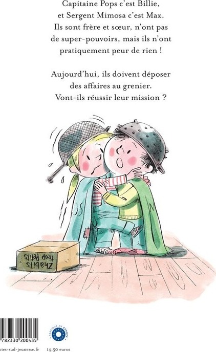 Quatrième de couverture de « Mission grenier »