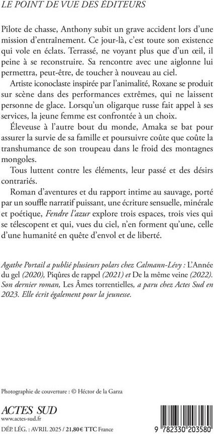 Quatrième de couverture de « Fendre l'azur : roman »
