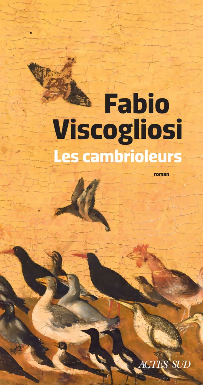 Couverture du livre « Les cambrioleurs : roman » de Fabio Viscogliosi, librairie Les Contes Infusés à Corte