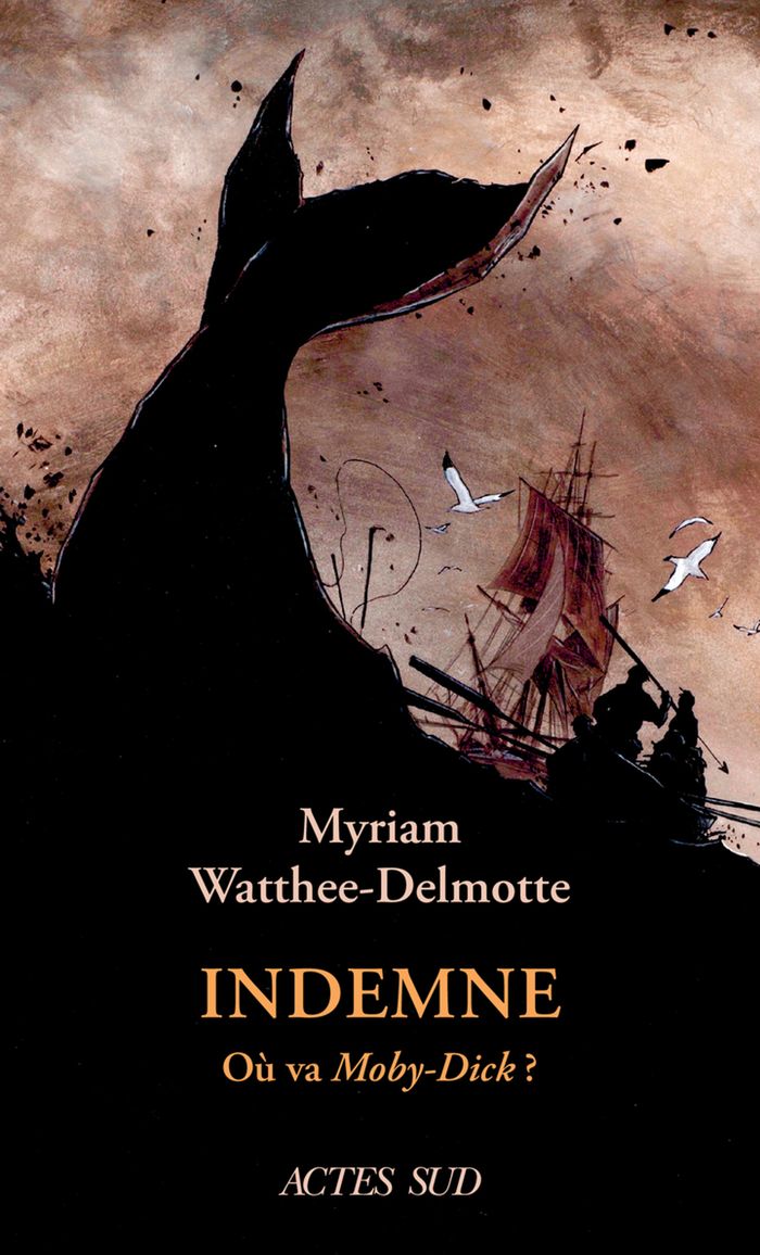 Couverture du livre « Indemne : où va "Moby-Dick" ? » de Myriam Watthee-Delmotte, librairie Les Contes Infusés à Corte
