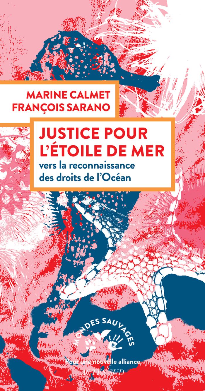 Couverture du livre « Justice pour l'étoile de mer : vers la reconnaissance des droits de l'océan » de Marine Calmet, librairie Les Contes Infusés à Corte