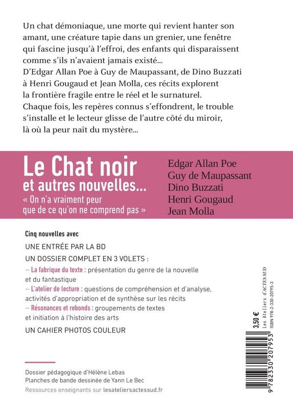 Quatrième de couverture de « Le chat noir : et autres nouvelles étranges et fantastiques »