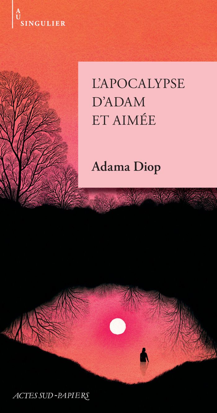 Couverture du livre « L'apocalypse d'Adam et Aimée » de Adama Diop, librairie Les Contes Infusés à Corte