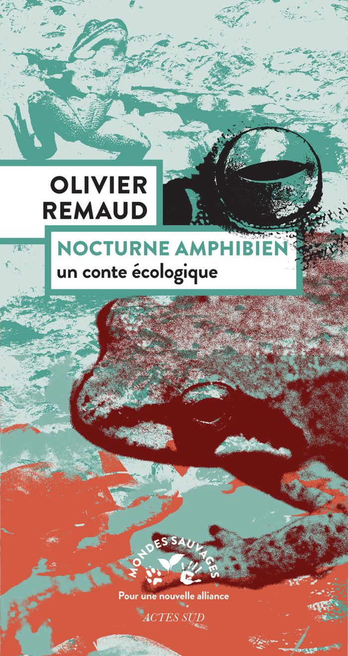 Couverture du livre « Nocturne amphibien : un conte écologique » de Olivier Remaud, librairie Les Contes Infusés à Corte