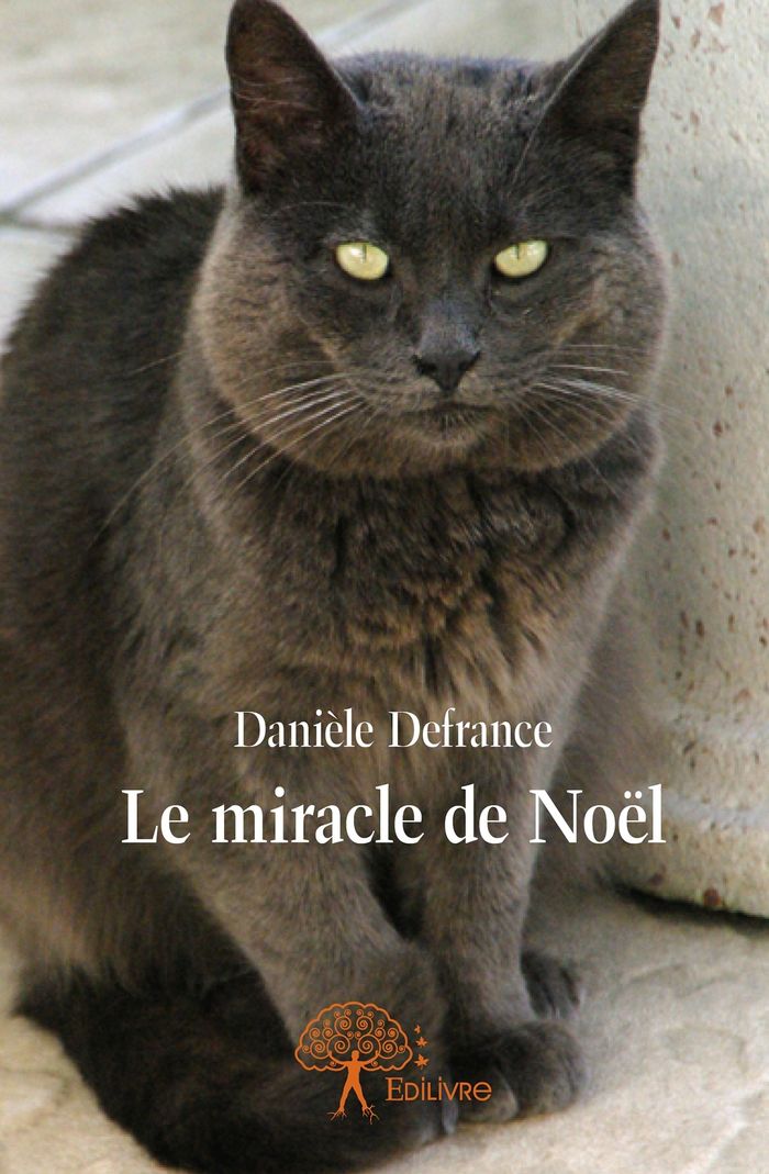Couverture du livre « LE MIRACLE DE NOEL » de Daniele Defrance, librairie Les Contes Infusés à Corte