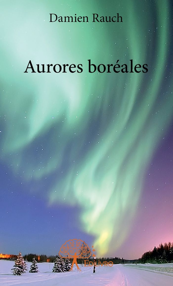 Couverture du livre « AURORES BOREALES » de Damien Rauch, librairie Les Contes Infusés à Corte