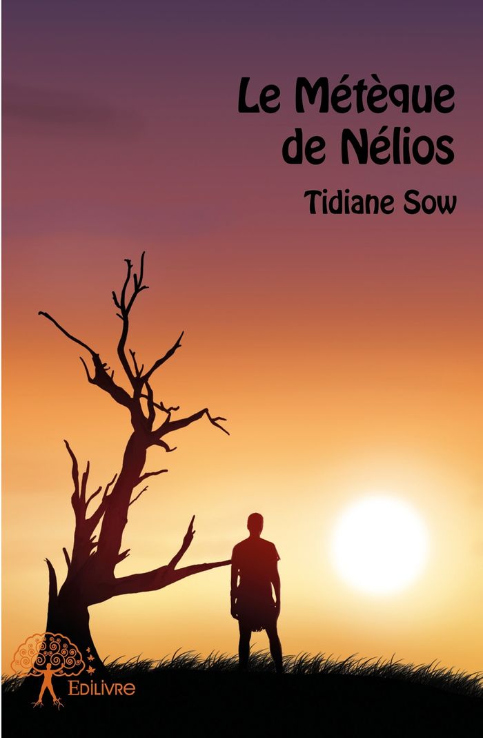 Couverture du livre « LE METEQUE DE NELIOS » de Tidiane Sow, librairie Les Contes Infusés à Corte