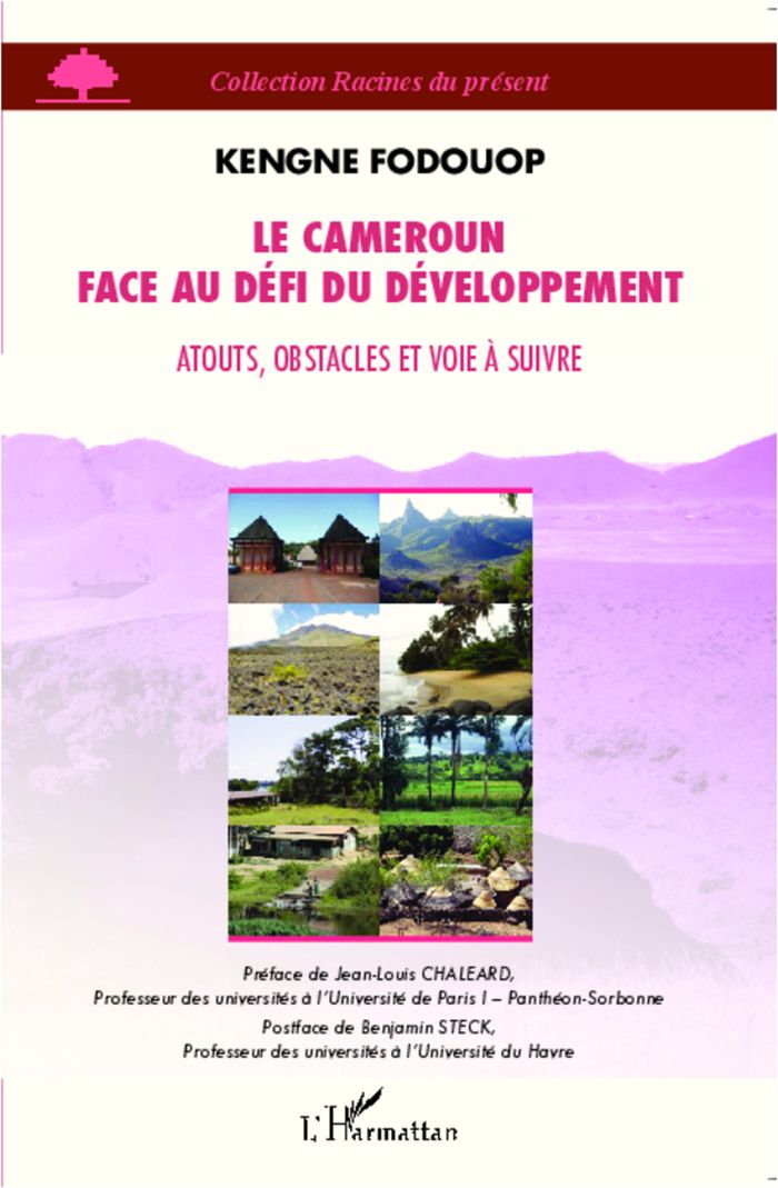 Couverture du livre « LE CAMEROUN FACE AU DEFI DU DEVELOPPEMENT - ATOUTS, OBSTACLES ET VOIE A SUIVRE » de Kengne Fodouop, librairie Les Contes Infusés à Corte