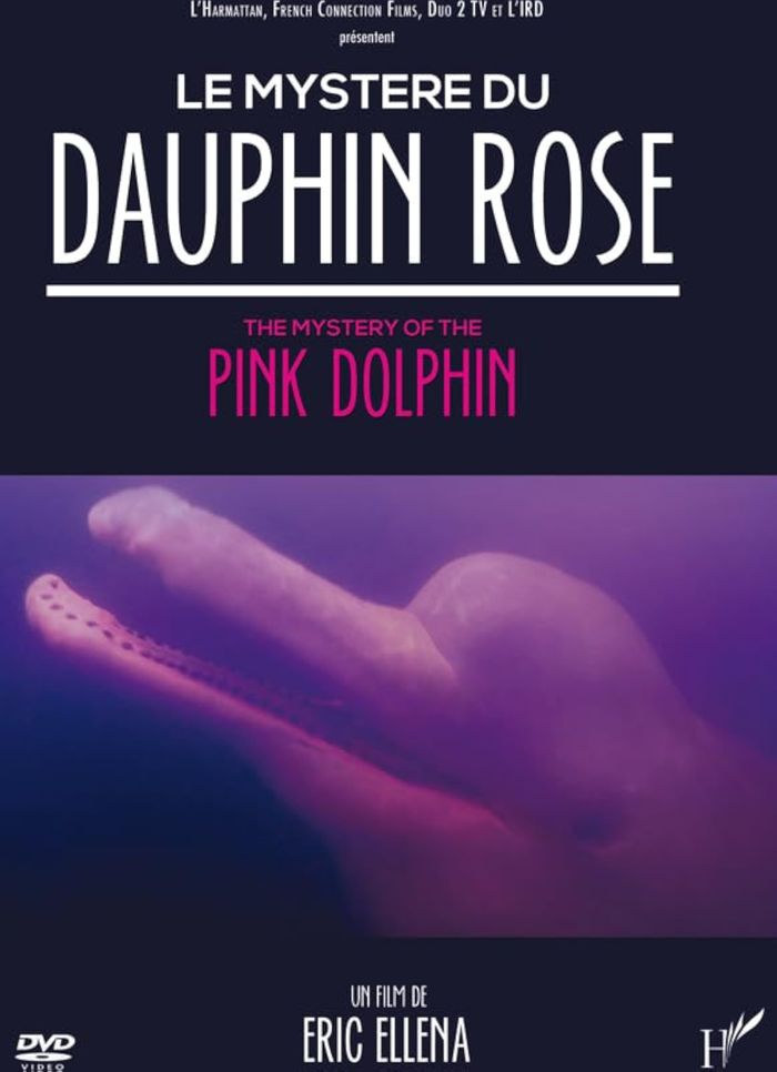 Couverture du livre « LE MYSTERE DU DAUPHIN ROSE », librairie Les Contes Infusés à Corte