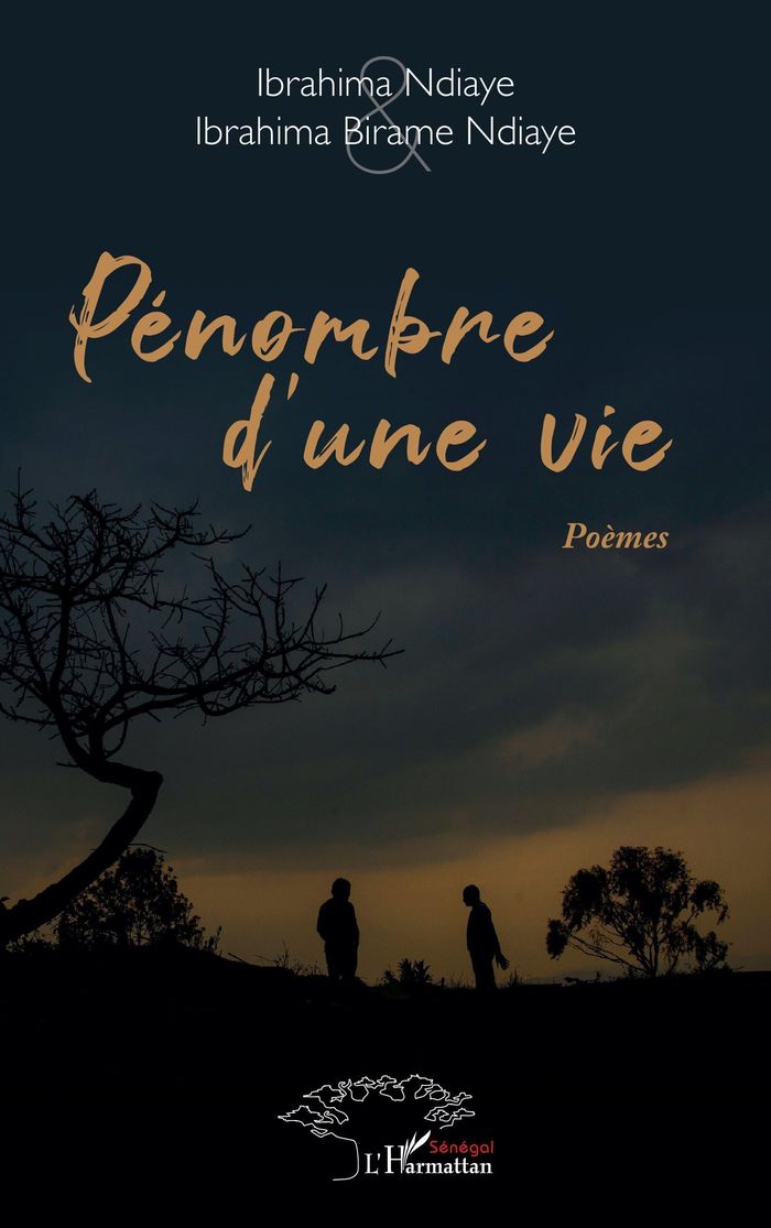 Couverture du livre « PENOMBRE D UNE VIE », librairie Les Contes Infusés à Corte