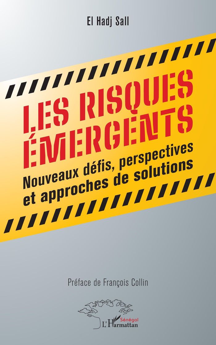 Couverture du livre « LES RISQUES EMERGENTS - NOUVEAUX DEFIS, PERSPECTIVES ET APPROCHES DE SOLUTIONS » de Sall/collin, librairie Les Contes Infusés à Corte