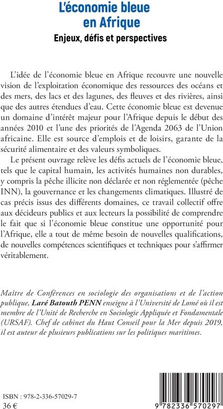 Quatrième de couverture de « L'ECONOMIE BLEUE EN AFRIQUE - ENJEUX, DEFIS ET PERSPECTIVES »