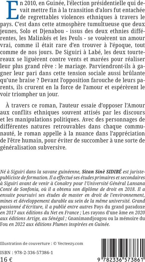 Quatrième de couverture de « Les dernières étoiles du ciel : roman »