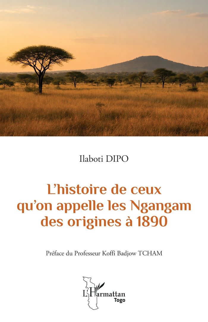 Couverture du livre « L histoire de ceux qu on appelle les Ngangam des origines à 1890 » de Ilaboti Dipo, librairie Les Contes Infusés à Corte