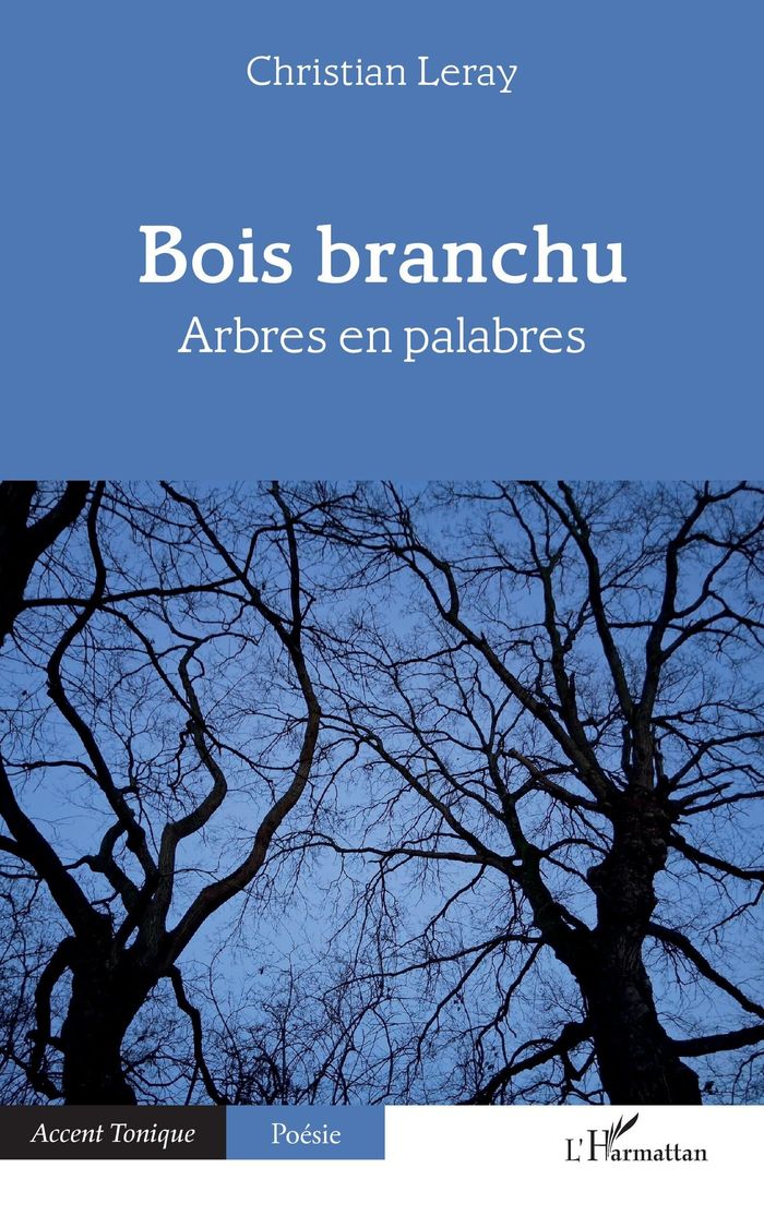 Couverture du livre « Bois branchu : arbres en palabres » de Christian Leray, librairie Les Contes Infusés à Corte