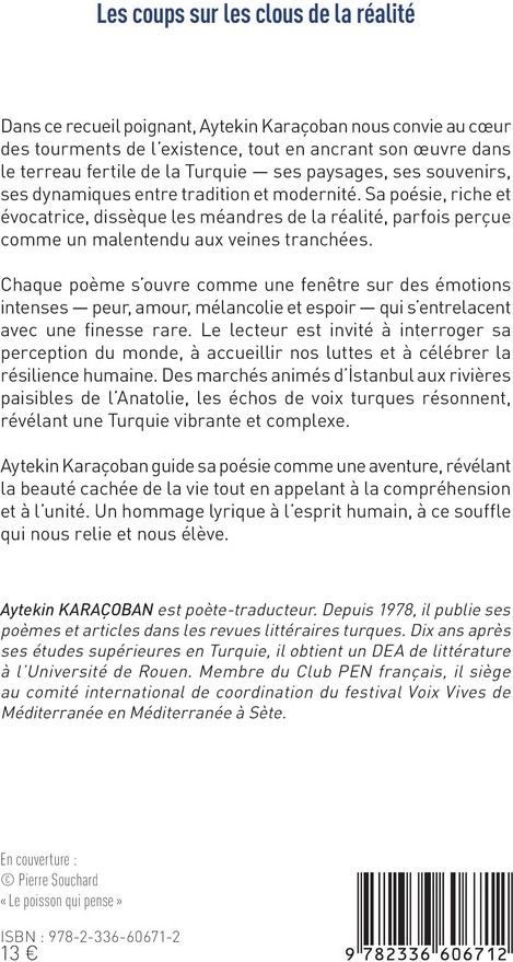 Quatrième de couverture de « Les coups sur les clous de la réalité »