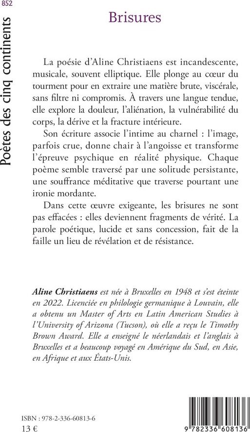 Quatrième de couverture de « Brisures »