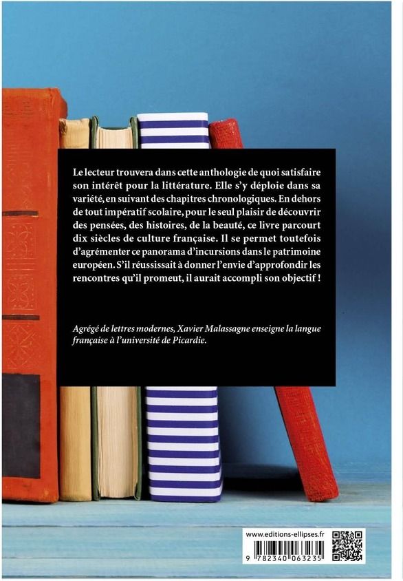 Quatrième de couverture de « LA CULTURE LITTERAIRE EN 50 FICHES - D'HOMERE A HOUELLEBECQ »