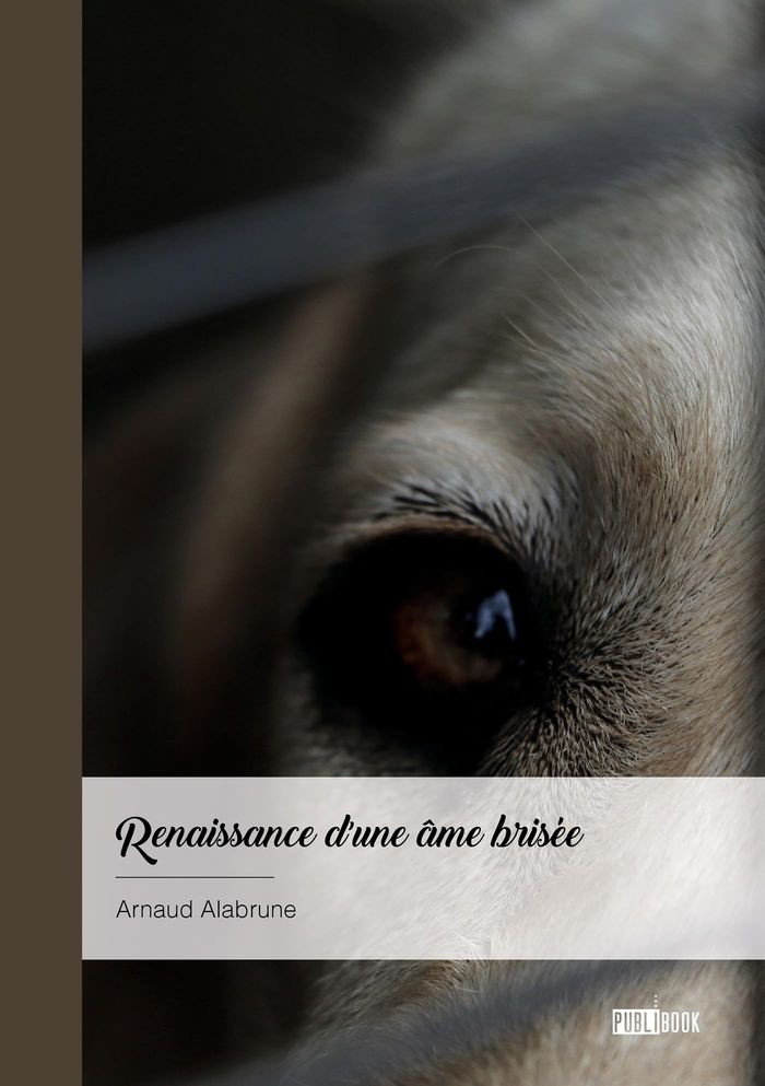 Couverture du livre « Renaissance d'une âme brisée » de Arnaud Alabrune, librairie Les Contes Infusés à Corte