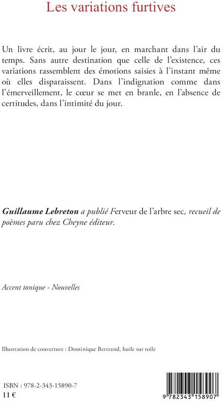 Quatrième de couverture de « VARIATIONS FURTIVES (LES) »
