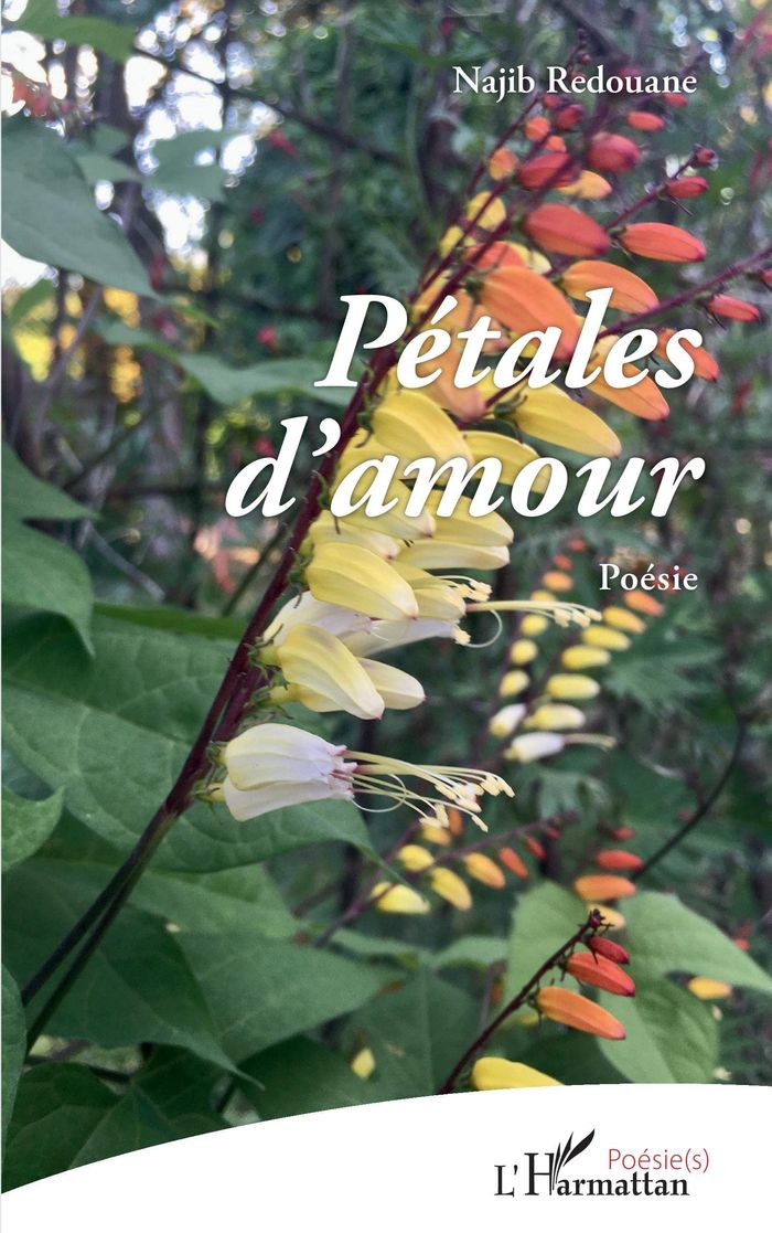 Couverture du livre « PETALES D'AMOUR - POESIE » de Najib Redouane, librairie Les Contes Infusés à Corte