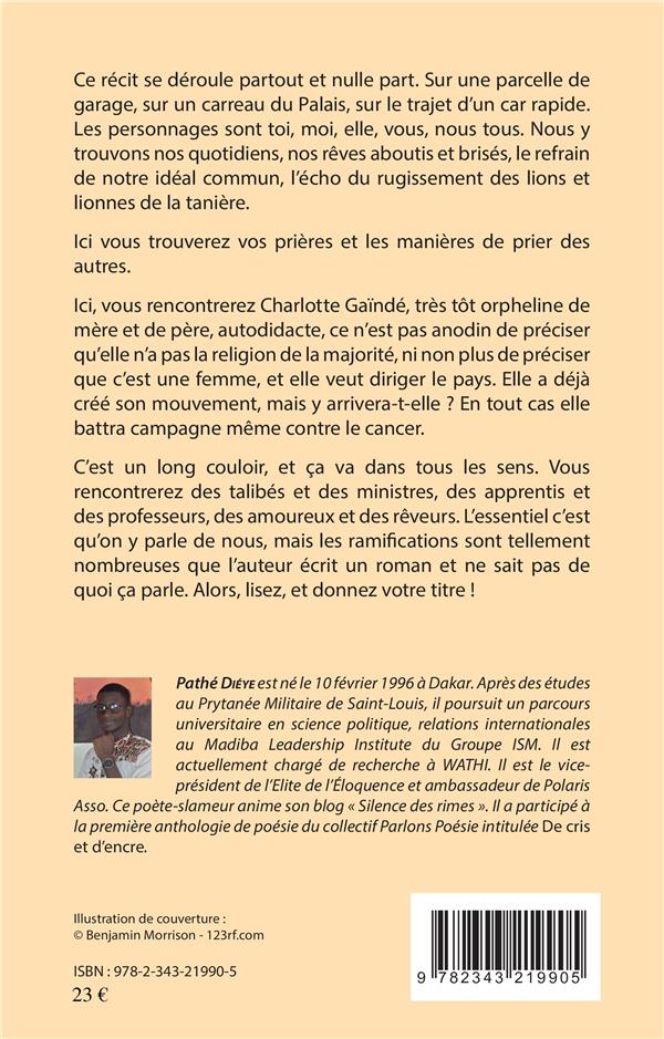 Quatrième de couverture de « J'AI ECRIT UN ROMAN, JE NE SAIS PAS DE QUOI CA PARLE... »