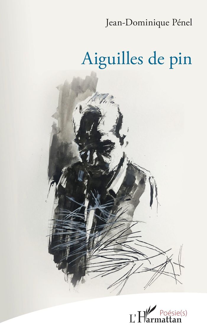 Couverture du livre « AIGUILLES DE PIN » de Jean-Dominique Penel, librairie Les Contes Infusés à Corte