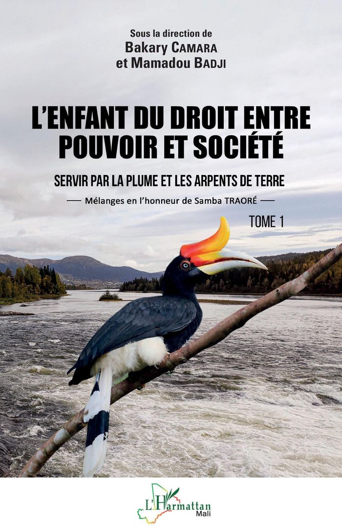 Couverture du livre « L'ENFANT DU DROIT ENTRE POUVOIR ET SOCIETE TOME 1 - VOL01 - SERVIR PAR LA PLUME ET LES ARPENTS DE TE » de Camara/badji, librairie Les Contes Infusés à Corte