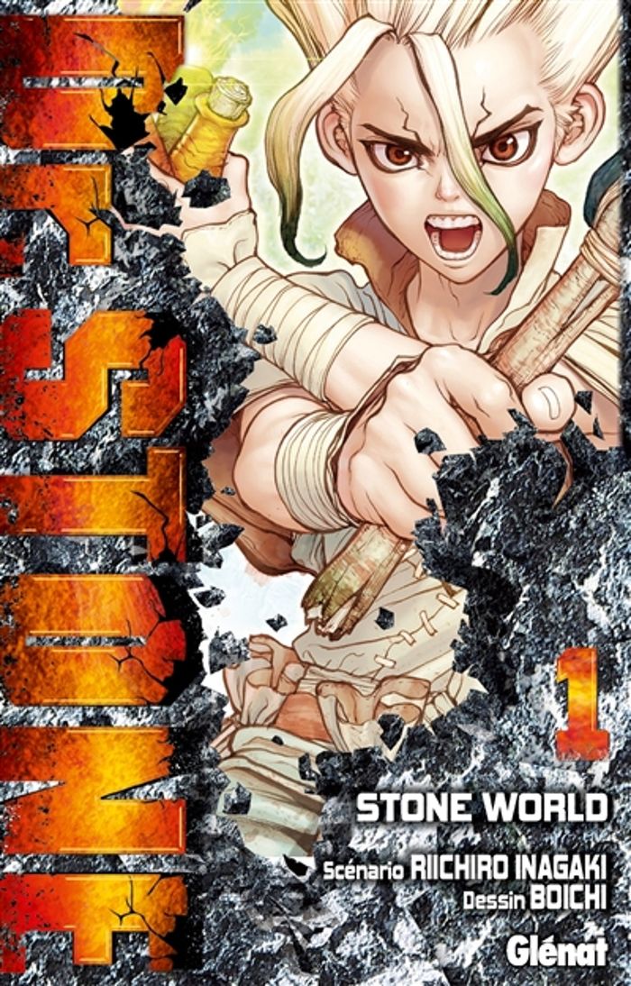 Couverture du livre « DR. STONE - TOME 01 - STONE WORLD » de Inagaki/boichi, librairie Les Contes Infusés à Corte