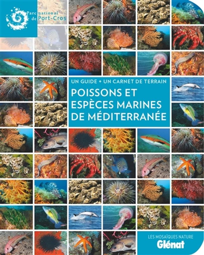 Couverture du livre « POISSONS ET ESPECES MARINES DE MEDITERRANEE », librairie Les Contes Infusés à Corte