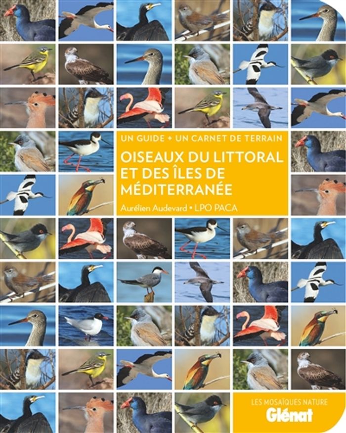 Couverture du livre « OISEAUX DU LITTORAL ET DES ILES DE MEDITERRANEE », librairie Les Contes Infusés à Corte